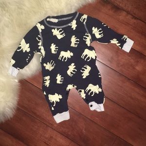 Don’t moose with me!